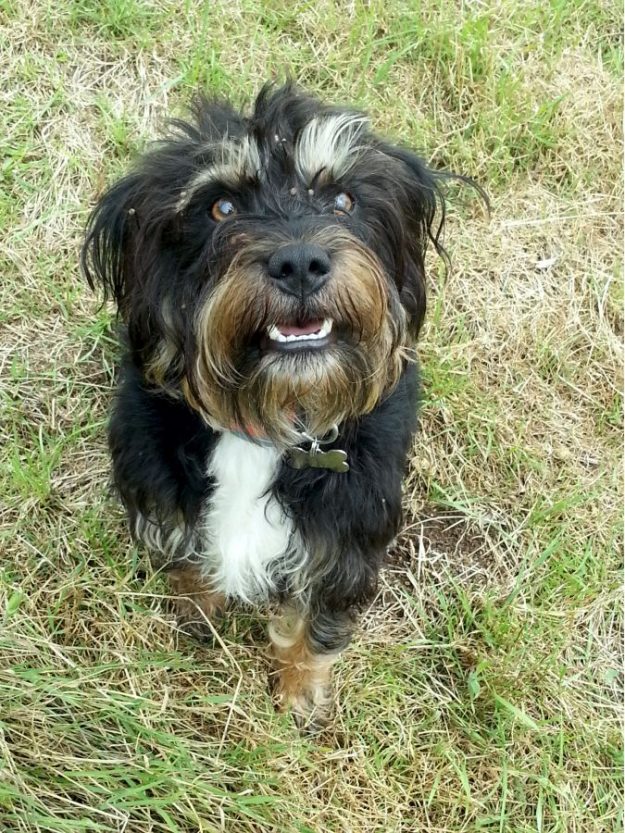 Looking so happy and ready for his run.
