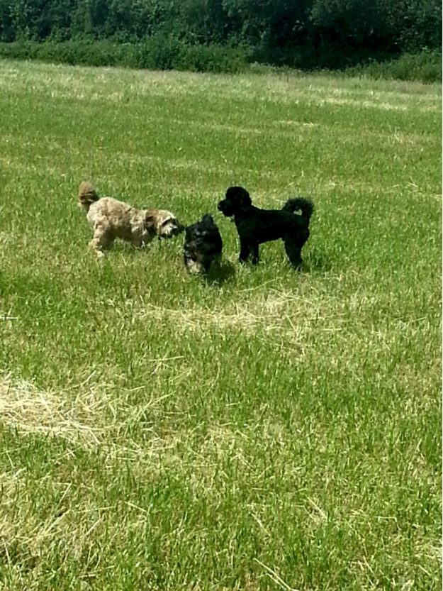 Having fun in the sun.