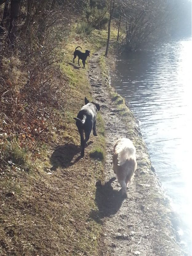 Enjoying a lovely run by the water.