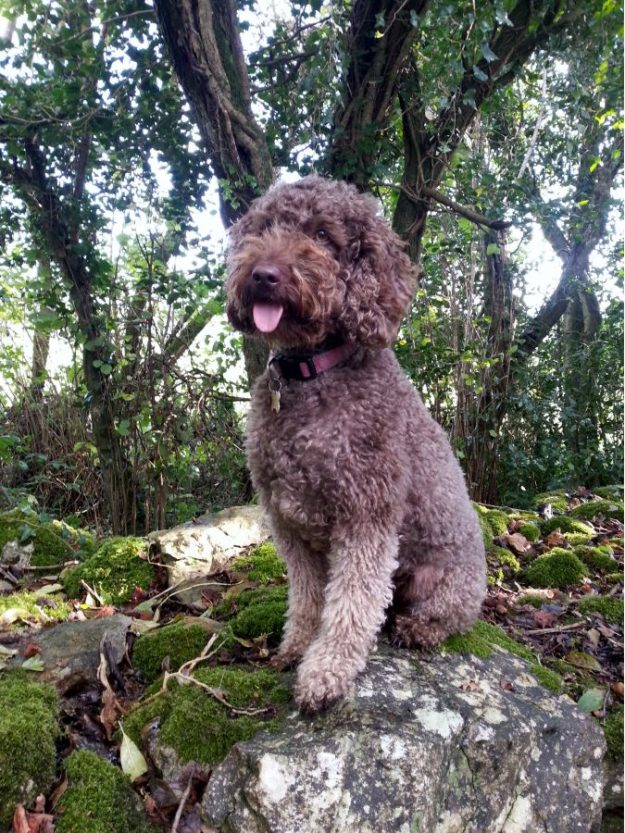 So tired and so happy.